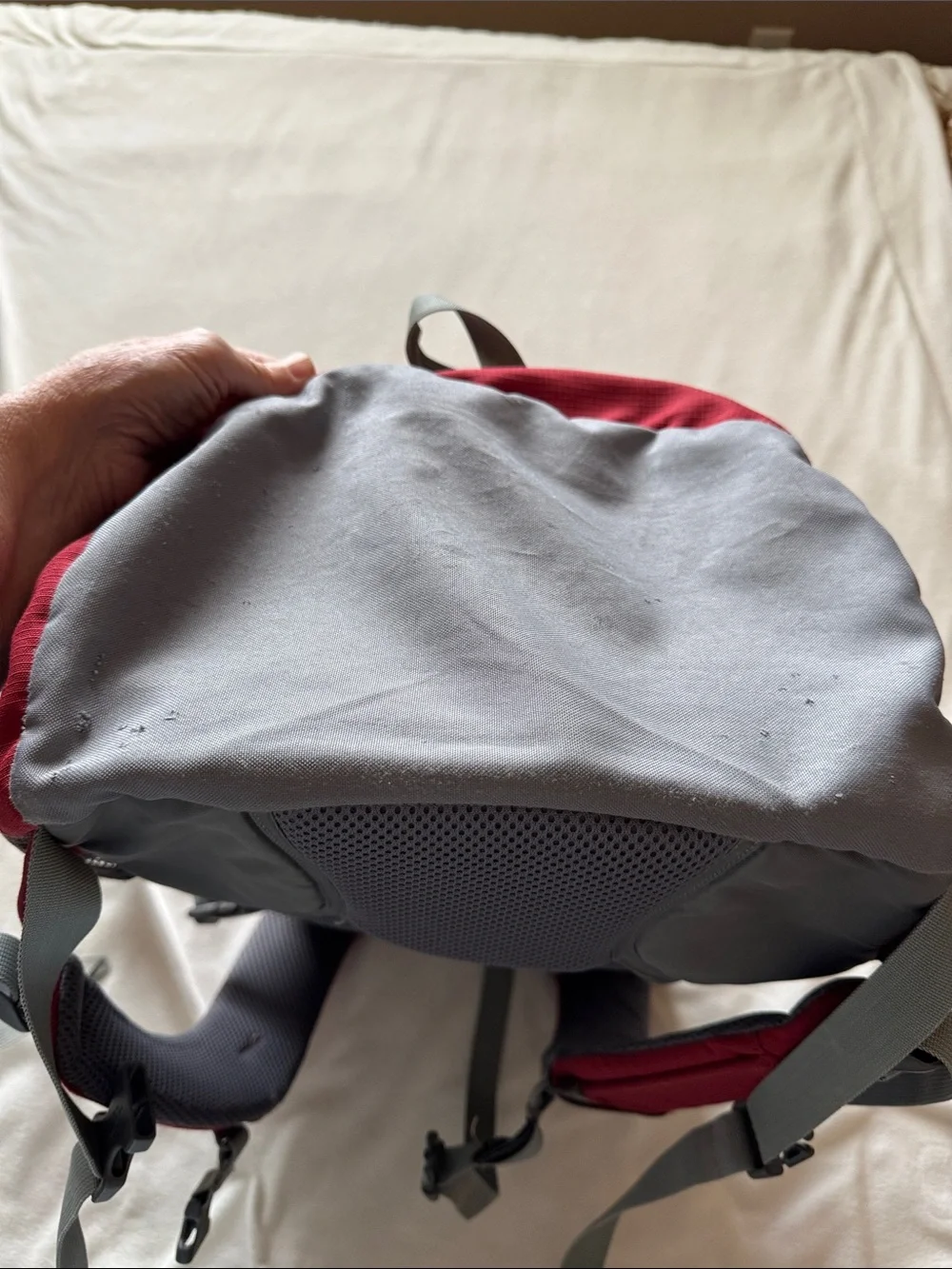 Kelty Roam back pack